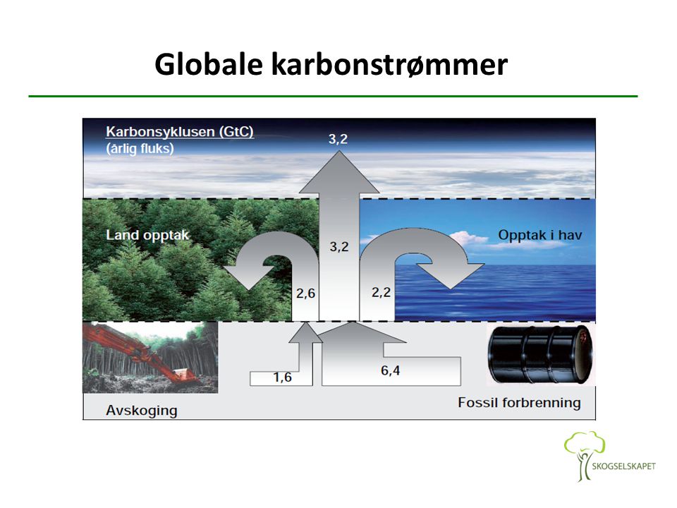 Globale karbonstrømmer