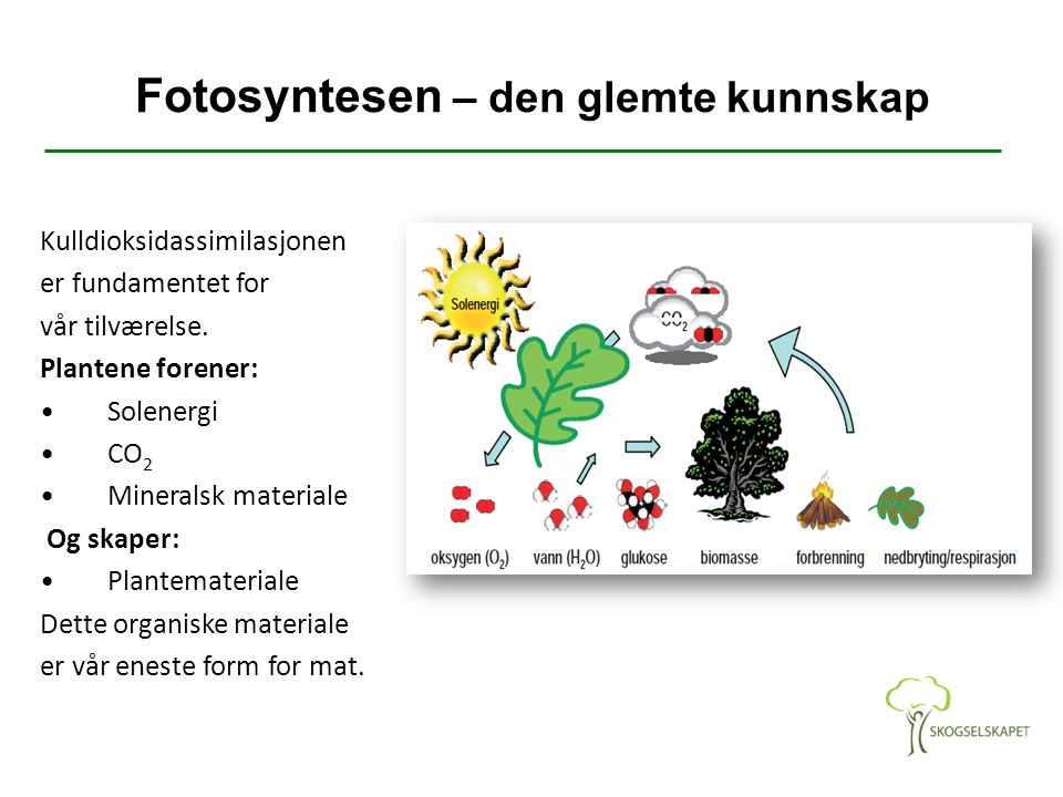 Fotosyntesen – den glemte kunnskap