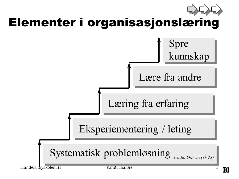 Elementer i organisasjonslæring