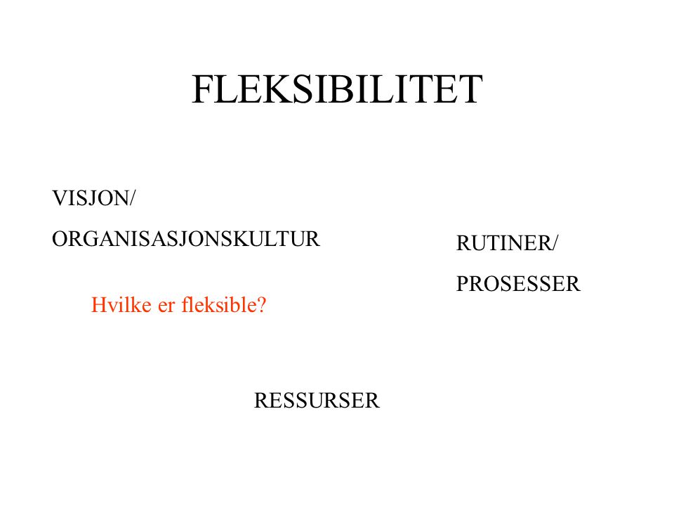 FLEKSIBILITET VISJON/ ORGANISASJONSKULTUR RUTINER/ PROSESSER