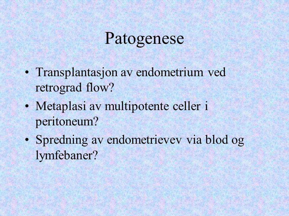 Patogenese Transplantasjon av endometrium ved retrograd flow