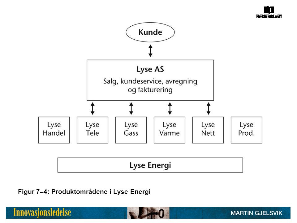 Figur 7–4: Produktområdene i Lyse Energi