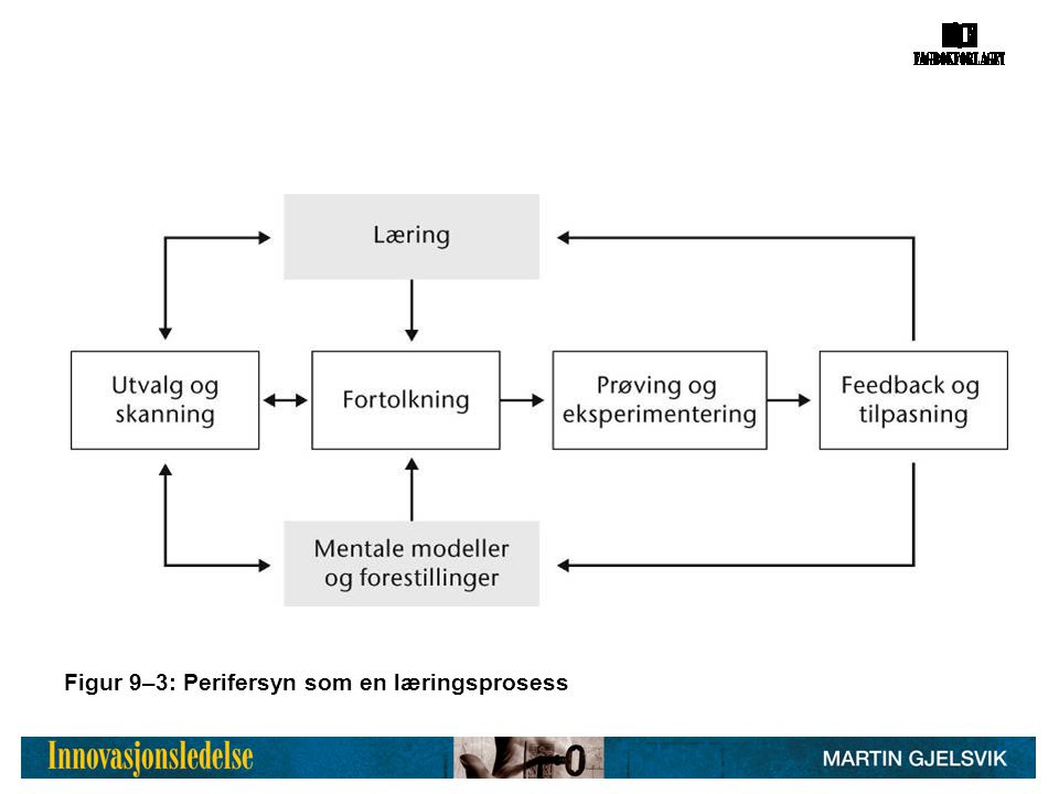 Figur 9–3: Perifersyn som en læringsprosess