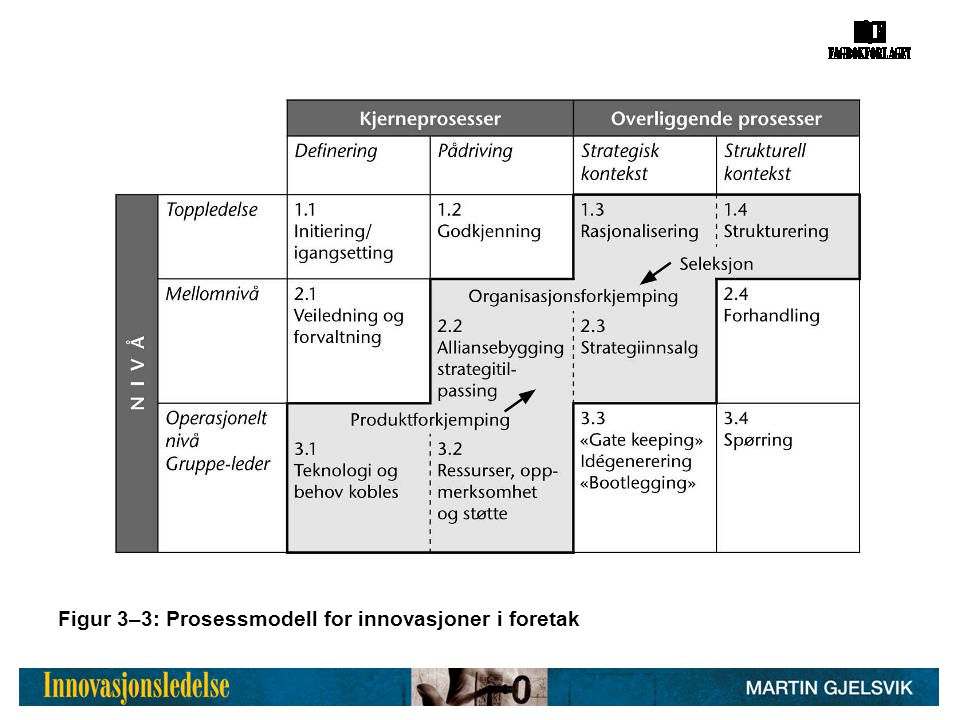 Figur 3–3: Prosessmodell for innovasjoner i foretak