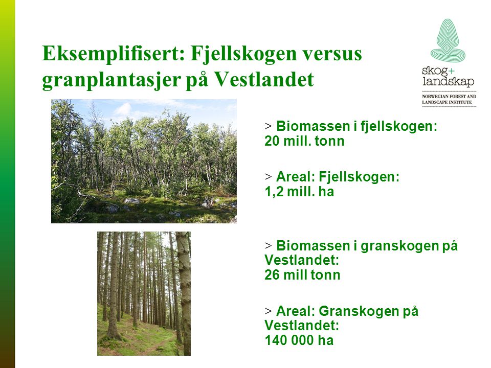Eksemplifisert: Fjellskogen versus granplantasjer på Vestlandet