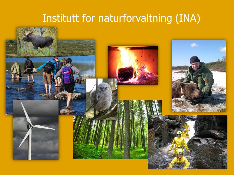 Institutt for naturforvaltning (INA)