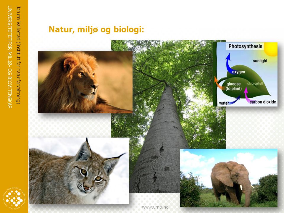 Natur, miljø og biologi: