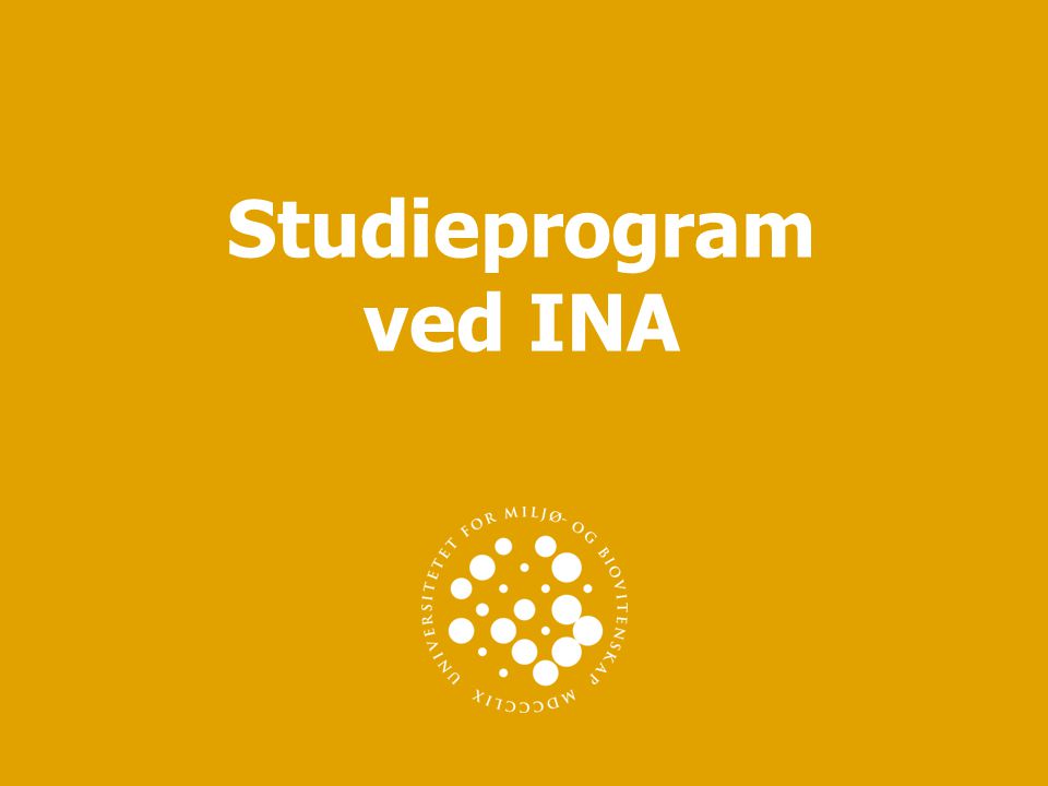 Studieprogram ved INA