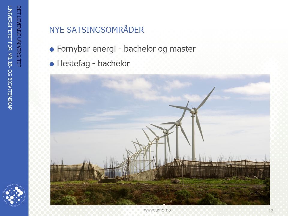 Fornybar energi - bachelor og master Hestefag - bachelor