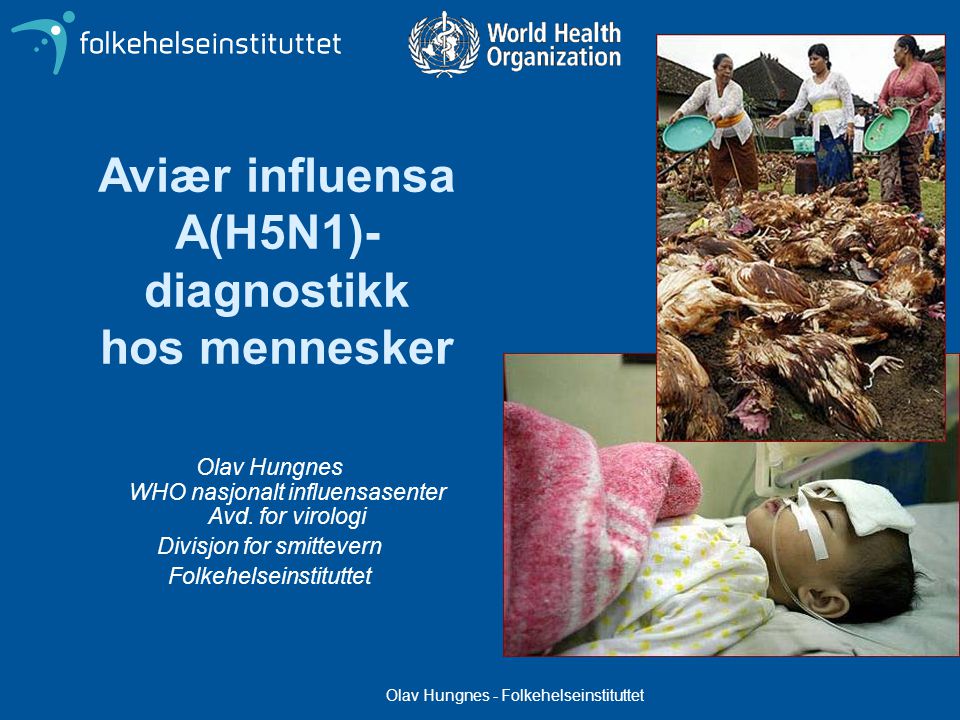 Aviær influensa A(H5N1)-diagnostikk hos mennesker