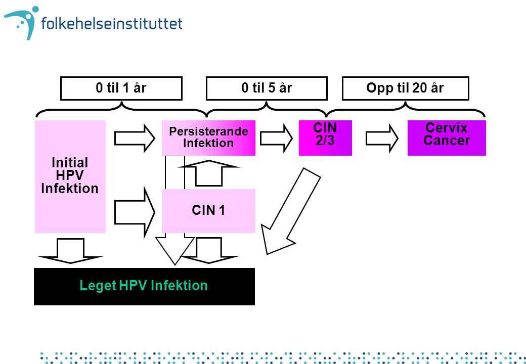 0 til 1 år 0 til 5 år Opp til 20 år Initial HPV Infektion CIN 2/3