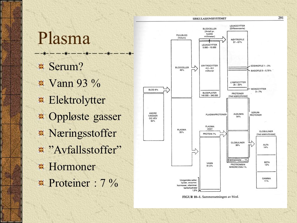 Plasma Serum Vann 93 % Elektrolytter Oppløste gasser Næringsstoffer