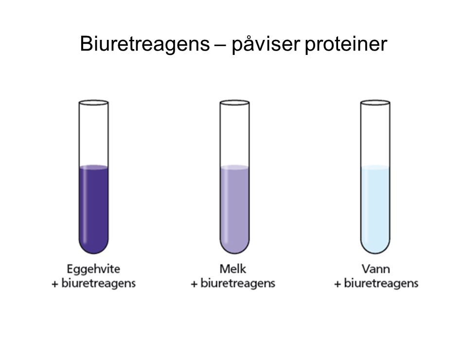 Biuretreagens – påviser proteiner