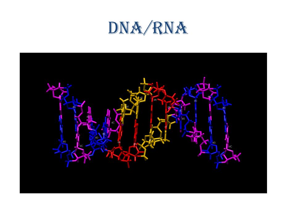 DNA/RNA   v=qy8dk5iS1f0