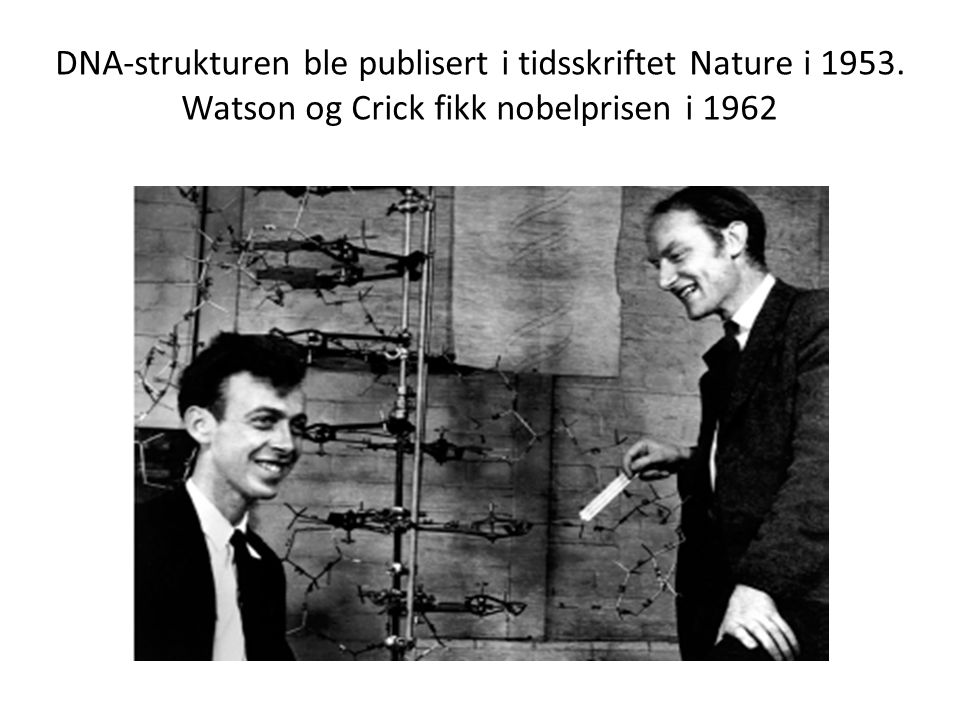 DNA-strukturen ble publisert i tidsskriftet Nature i 1953