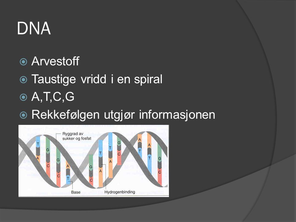 DNA Arvestoff Taustige vridd i en spiral A,T,C,G
