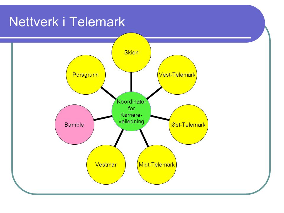 Nettverk i Telemark
