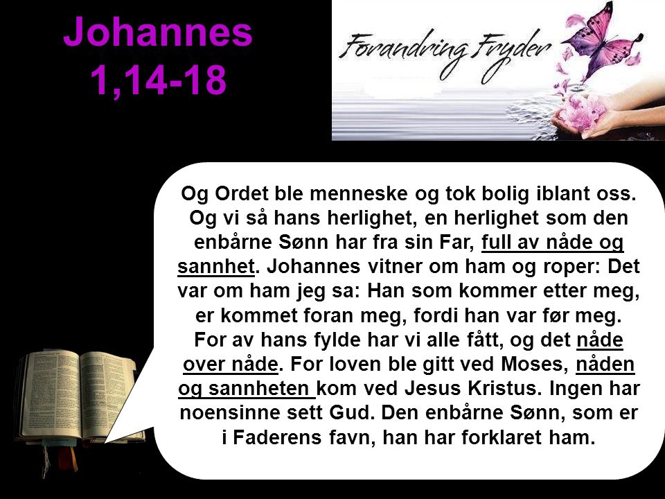 Johannes 1,14-18