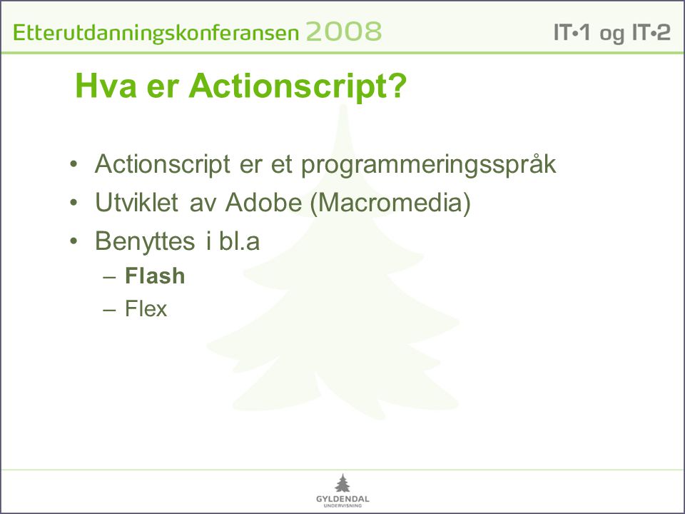 Hva er Actionscript Actionscript er et programmeringsspråk