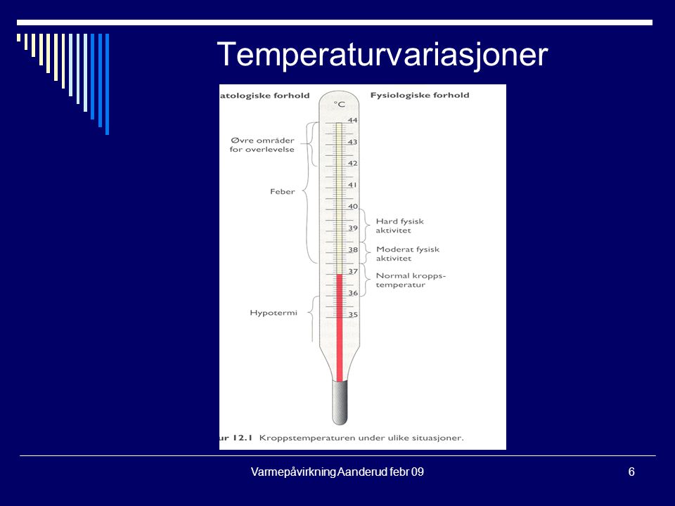 Temperaturvariasjoner