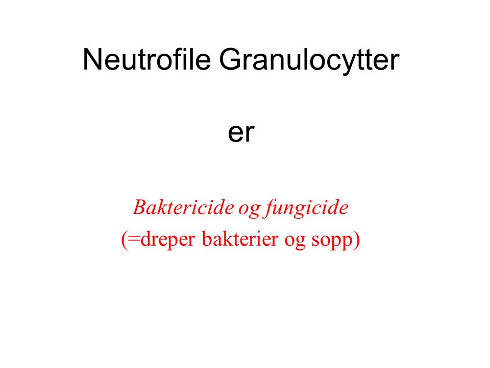 Neutrofile Granulocytter er