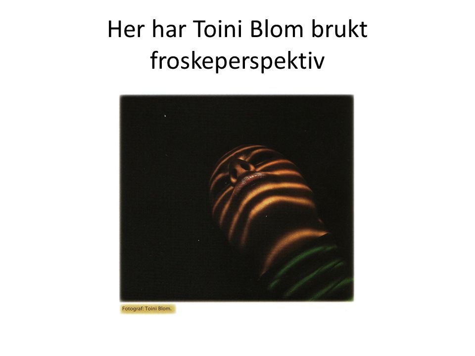 Her har Toini Blom brukt froskeperspektiv