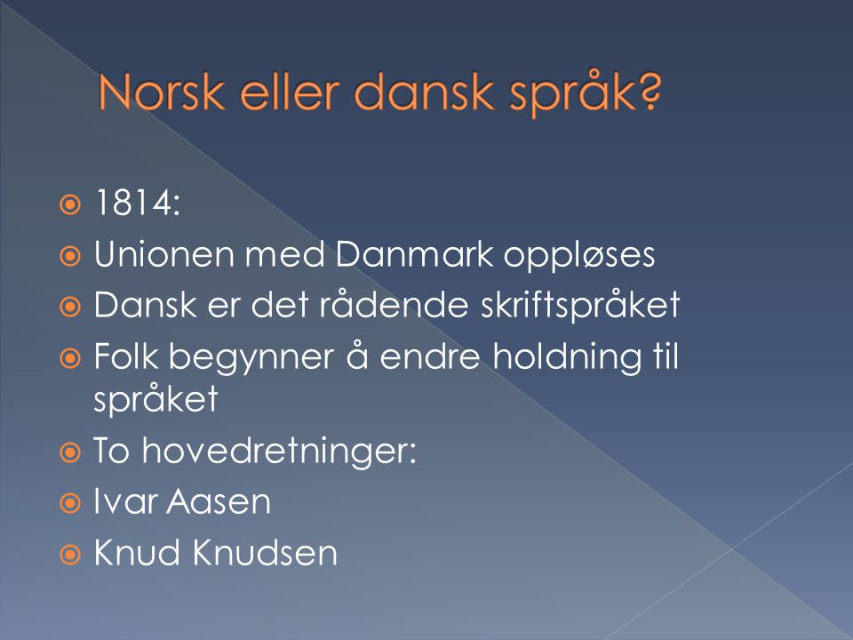 Norsk eller dansk språk