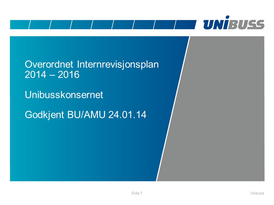 Overordnet Internrevisjonsplan 2014 – 2016 Unibusskonsernet Godkjent BU/AMU