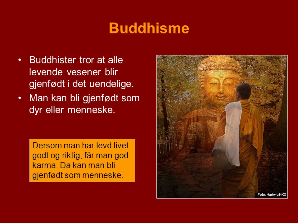 Buddhisme Buddhister tror at alle levende vesener blir gjenfødt i det uendelige. Man kan bli gjenfødt som dyr eller menneske.