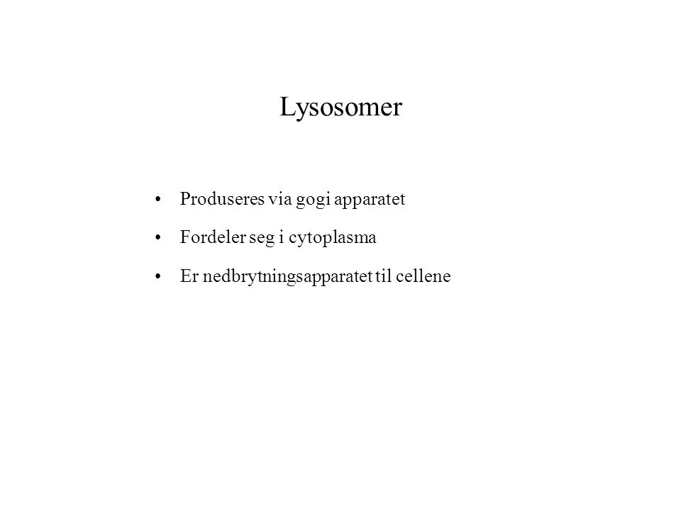 Lysosomer Produseres via gogi apparatet Fordeler seg i cytoplasma
