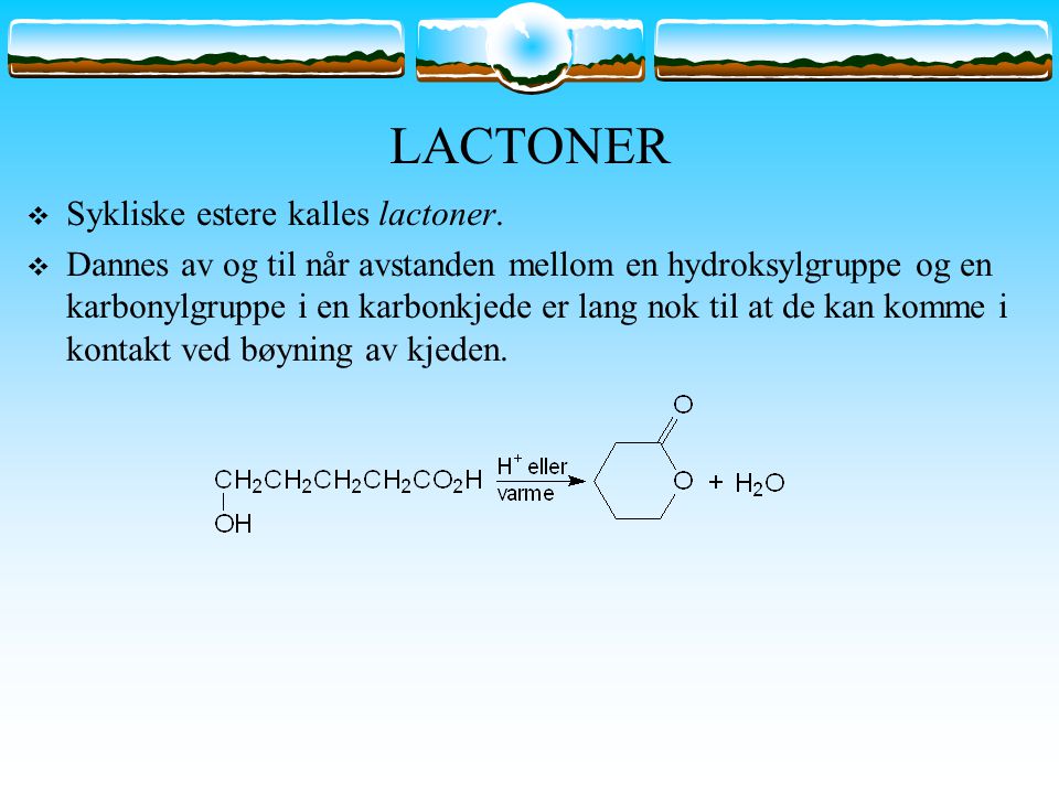 LACTONER Sykliske estere kalles lactoner.