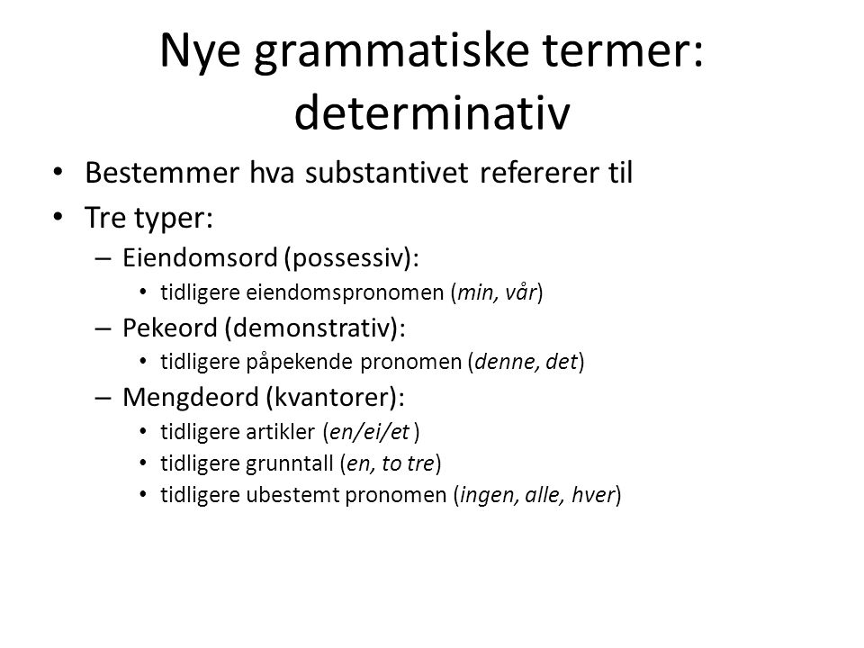 Nye grammatiske termer: determinativ