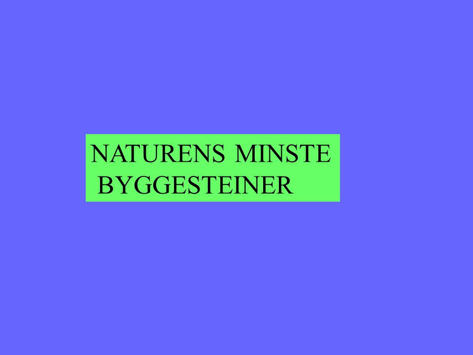 NATURENS MINSTE BYGGESTEINER