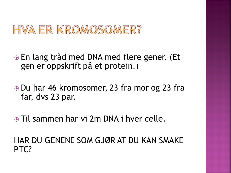 Hva er kromosomer En lang tråd med DNA med flere gener. (Et gen er oppskrift på et protein.)