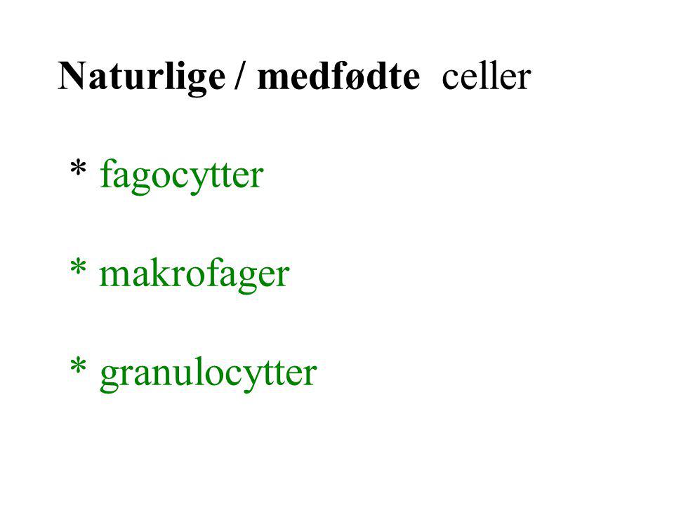 Naturlige / medfødte celler * fagocytter * makrofager * granulocytter