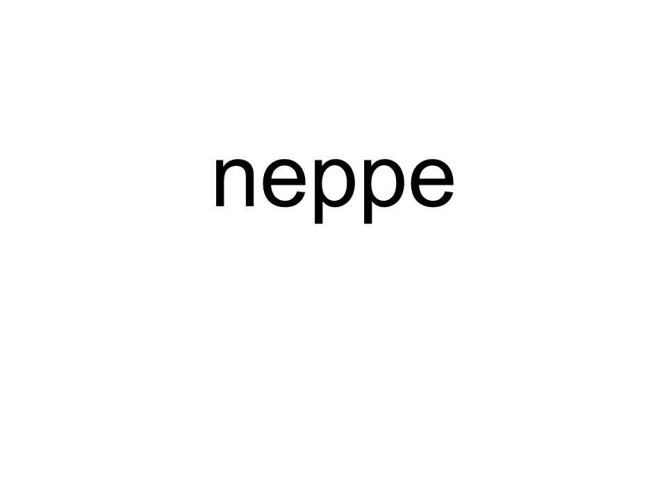 neppe