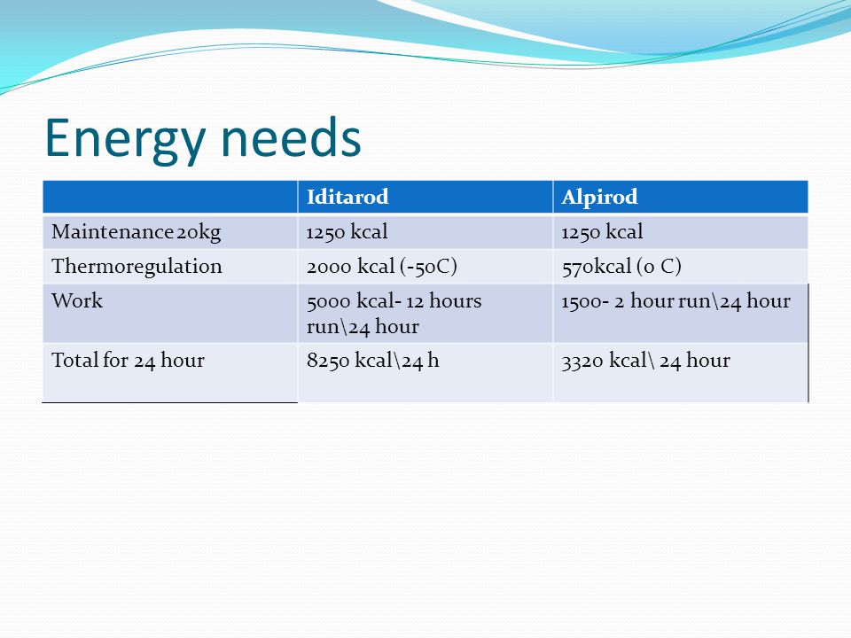 Energy needs Iditarod Alpirod Maintenance 20kg 1250 kcal