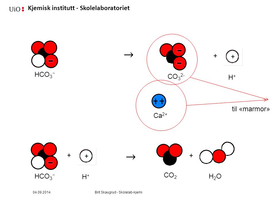 → → + + HCO3− CO32- H+ Ca2+ til «marmor» HCO3− H+ CO2 H2O
