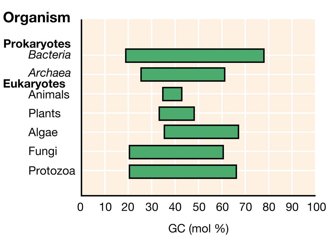 Figure: Caption: Ranges of DNA base composition of various organisms.