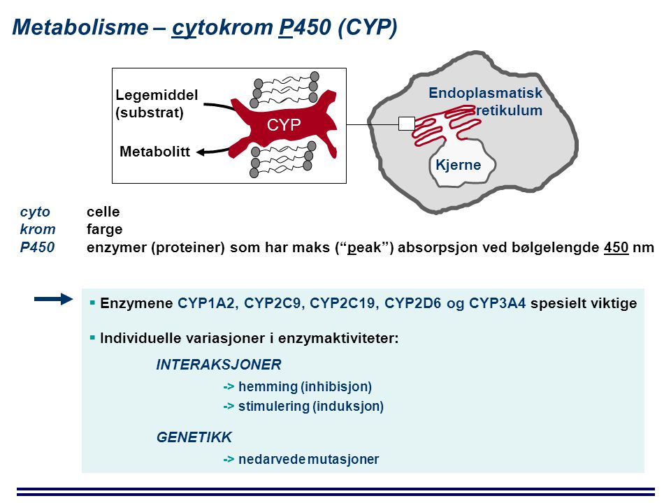 Metabolisme – cytokrom P450 (CYP)