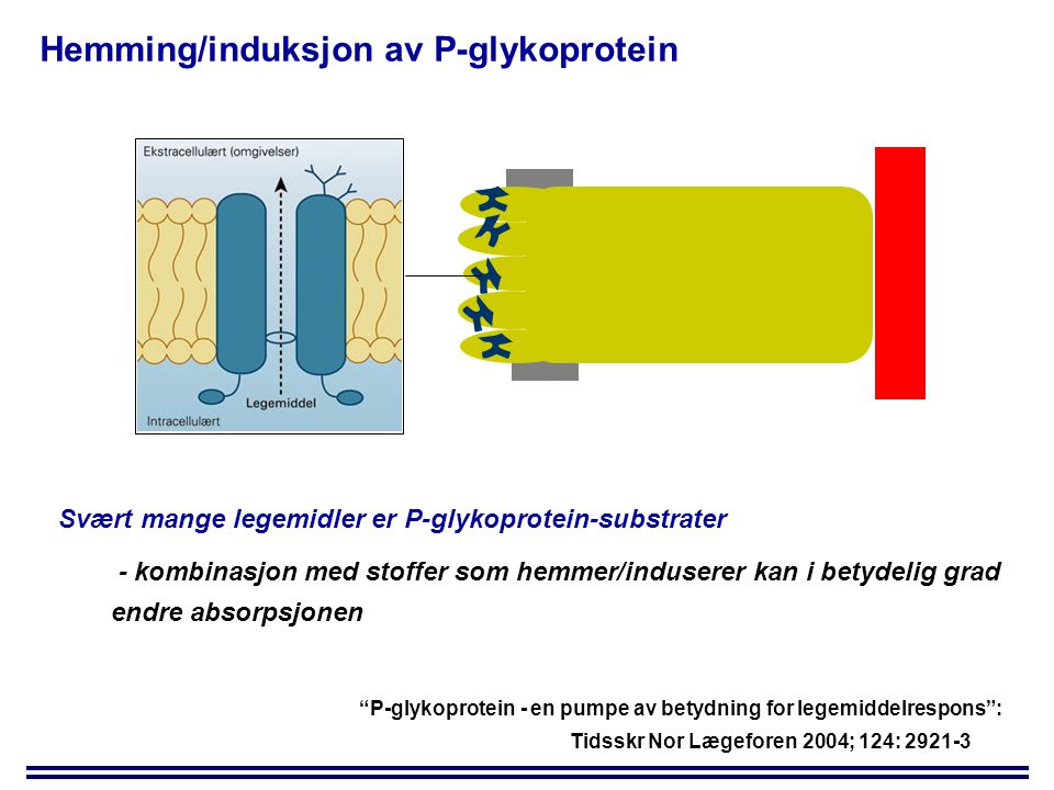 Hemming/induksjon av P-glykoprotein