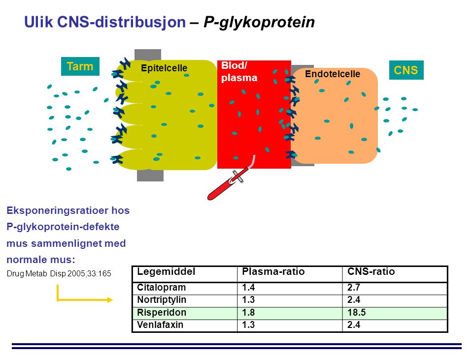 Ulik CNS-distribusjon – P-glykoprotein