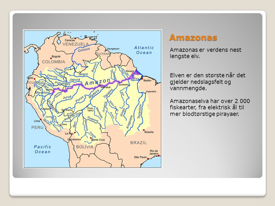 Amazonas Amazonas er verdens nest lengste elv.