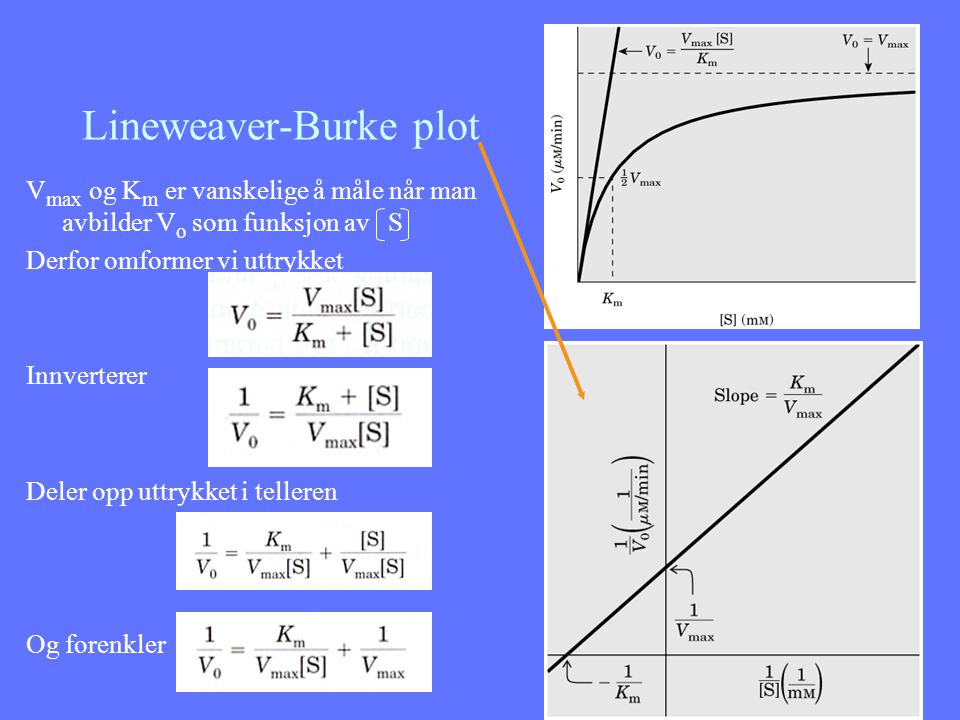 Lineweaver-Burke plot