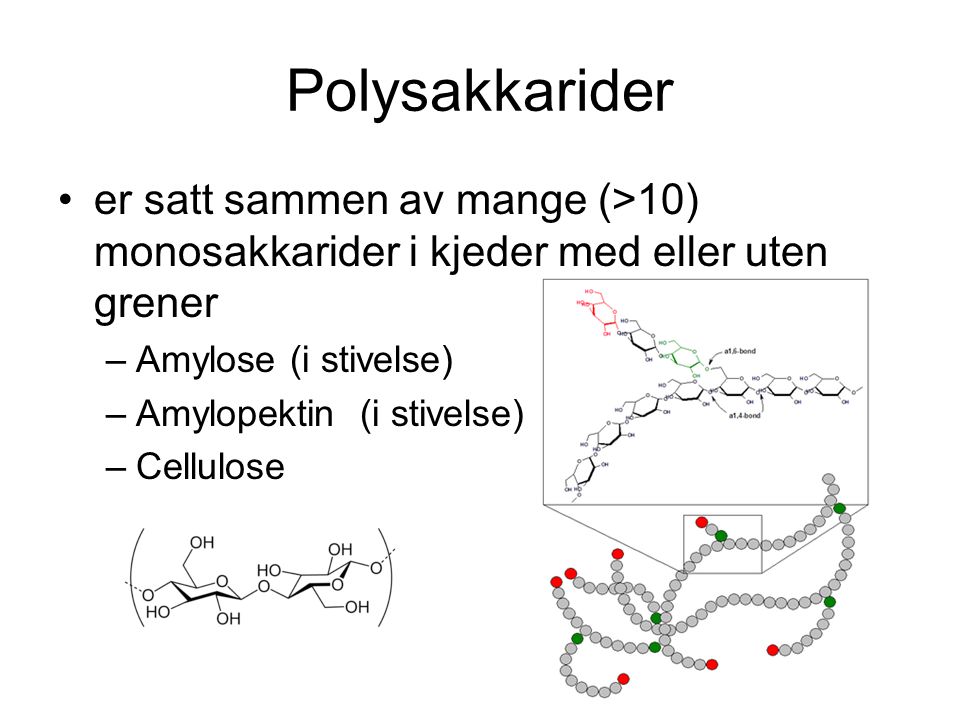 Polysakkarider er satt sammen av mange (>10) monosakkarider i kjeder med eller uten grener. Amylose (i stivelse)
