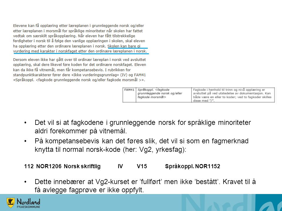 Det vil si at fagkodene i grunnleggende norsk for språklige minoriteter aldri forekommer på vitnemål.