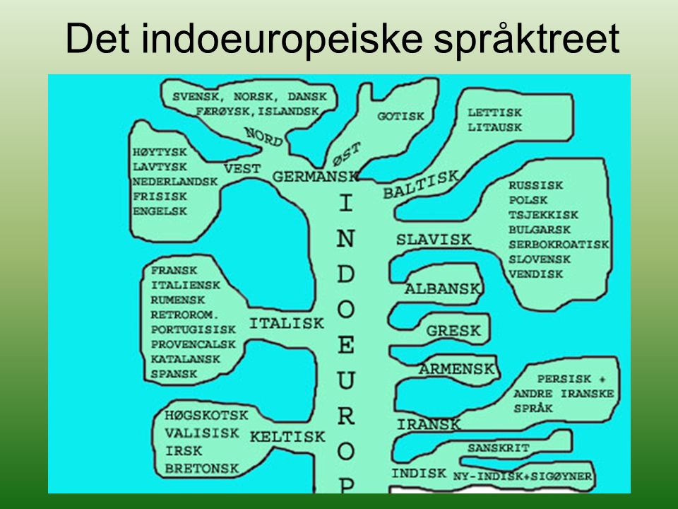 Det indoeuropeiske språktreet