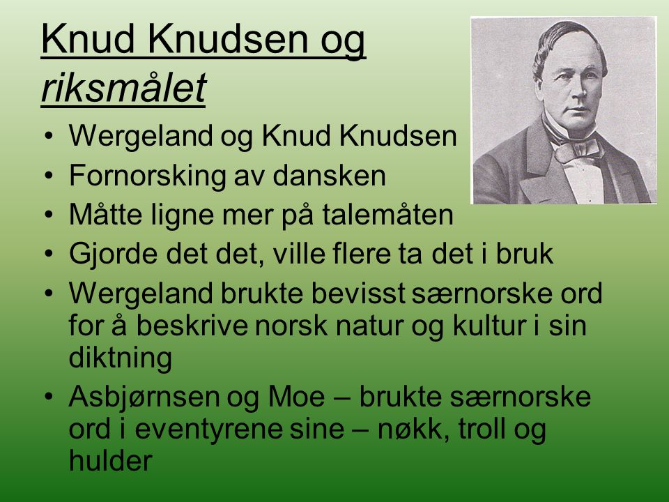 Knud Knudsen og riksmålet