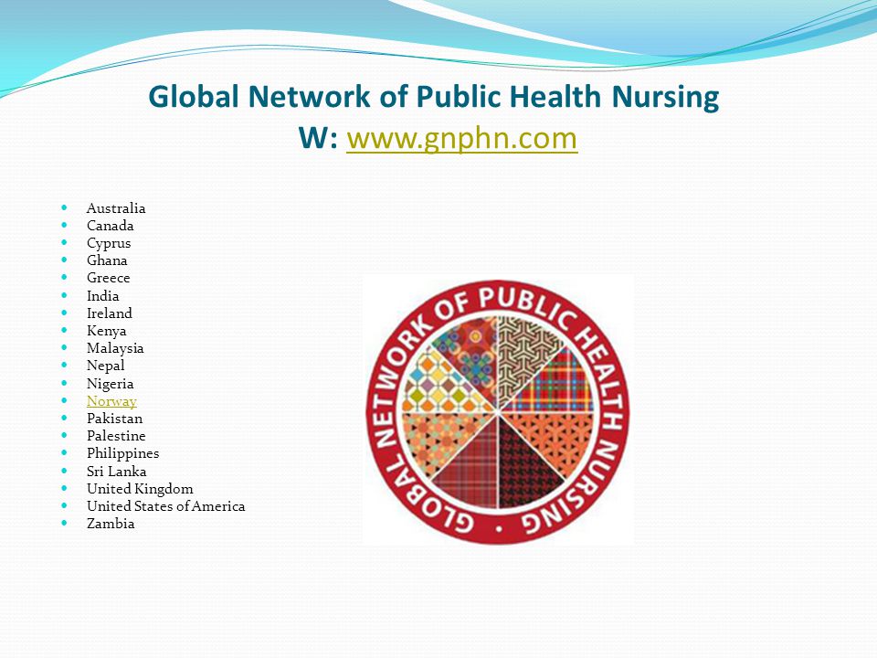 Global Network of Public Health Nursing W: