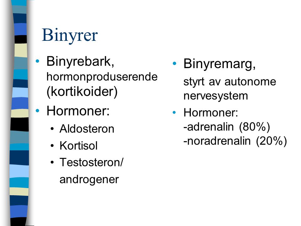Binyrer Binyrebark, hormonproduserende (kortikoider) Binyremarg,
